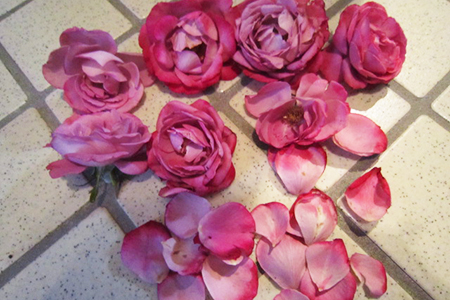 バラの花で簡単手作りポプリ ナチュラルキッチン ガーデンインテリア Diy